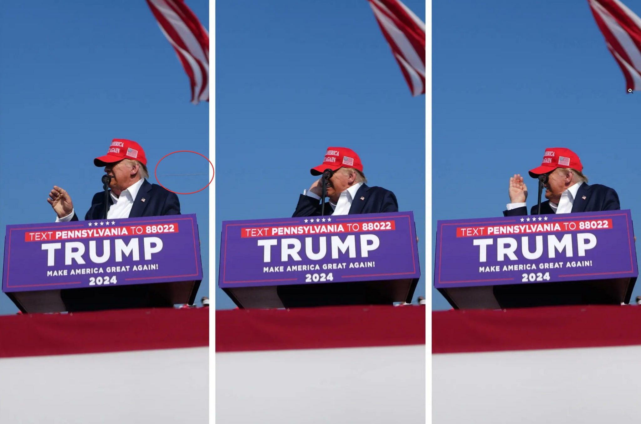 The best advertisement for a Sony camera - Donald Trump, Post #11600482, Politics, Sony, The photo, Sony a9iii