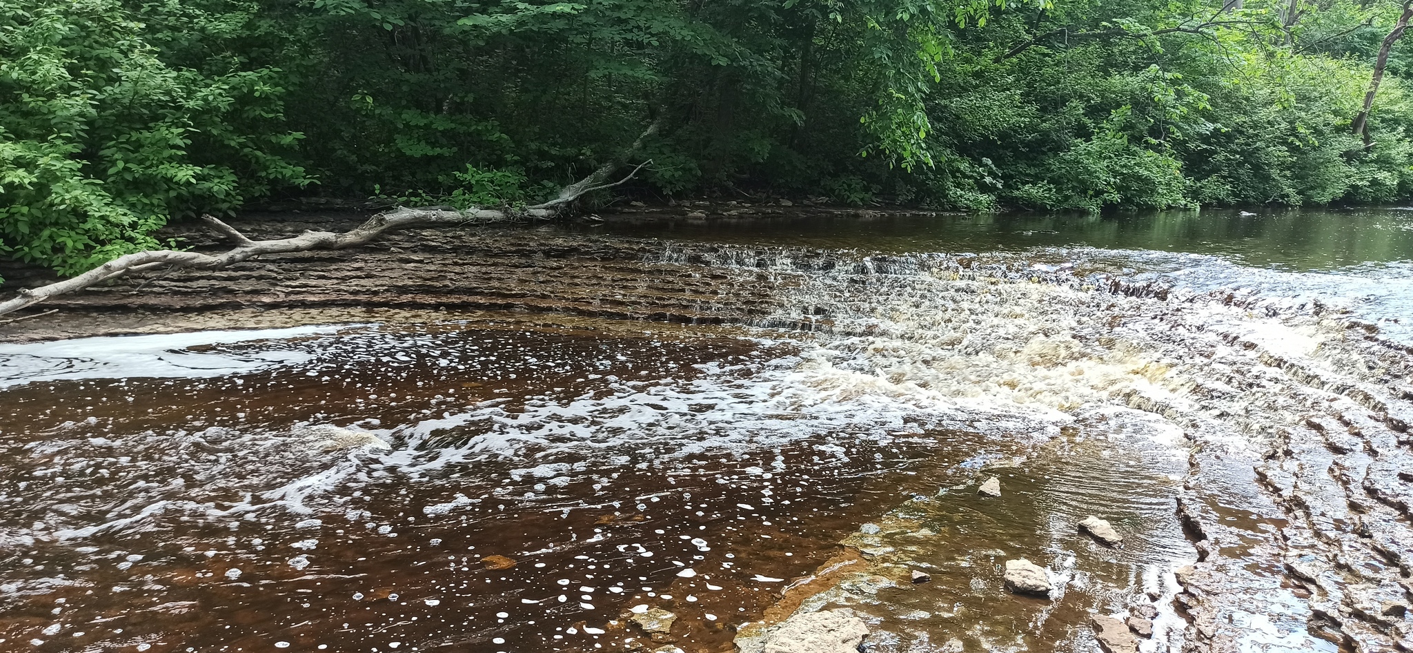 Hiking Story #32: Lava River Canyon - My, Hiking, Shlisselburg, River, Lava, Canyon, Longpost