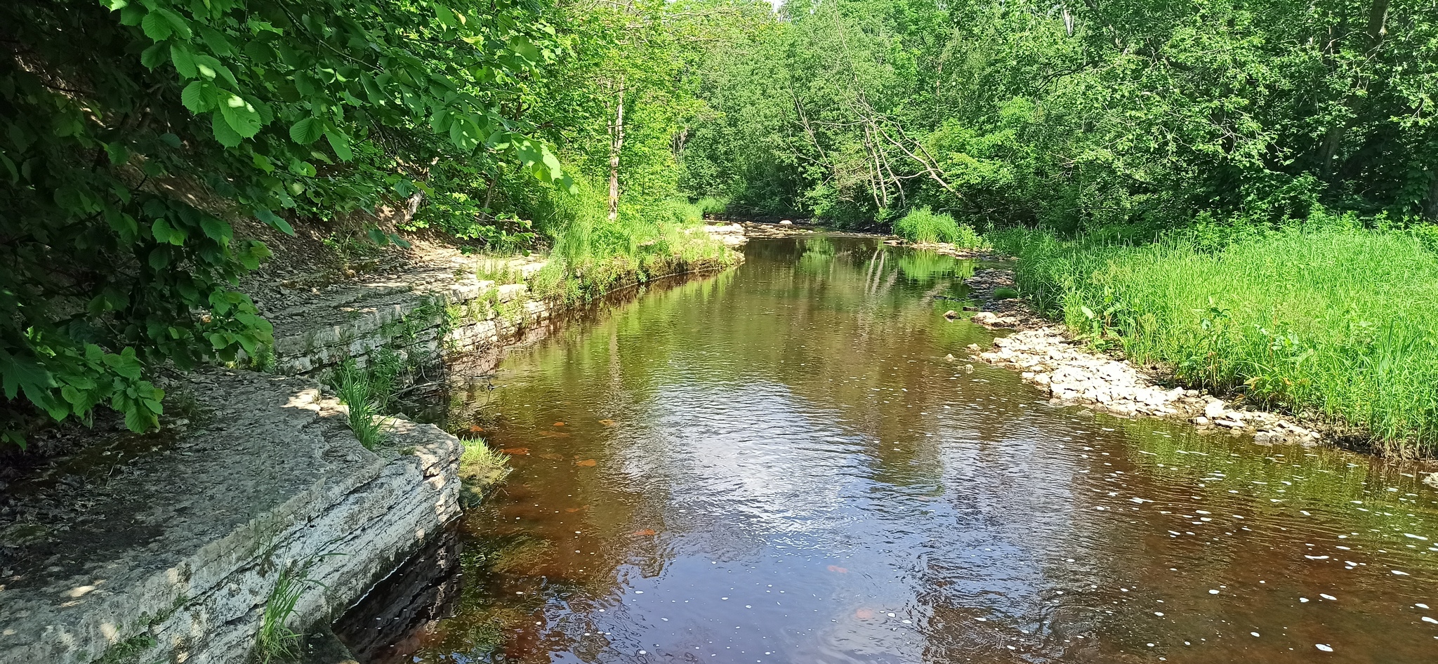 Hiking Story #32: Lava River Canyon - My, Hiking, Shlisselburg, River, Lava, Canyon, Longpost