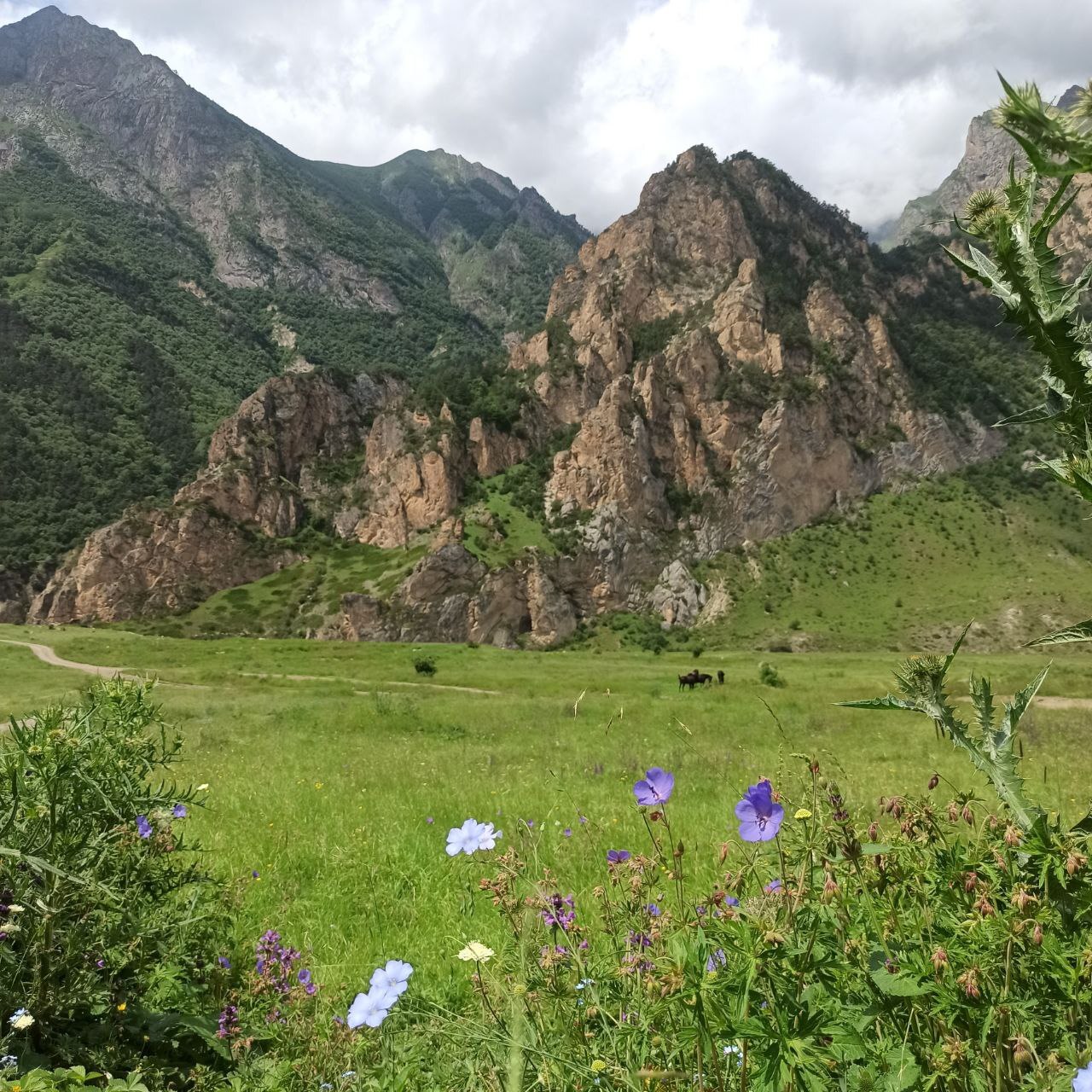 Chegem Gorge. Day one and two - My, Chegem gorge, Travel across Russia, Elbrus, Longpost