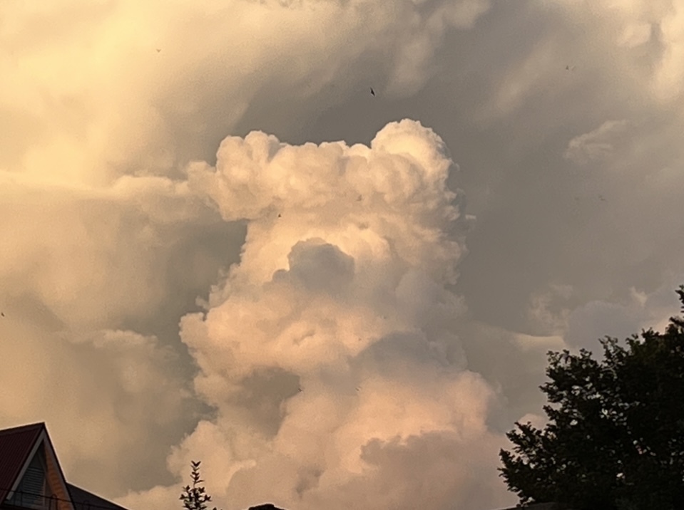 Cloud Bear - My, Pareidolia, The Bears, Sky, Clouds, The photo