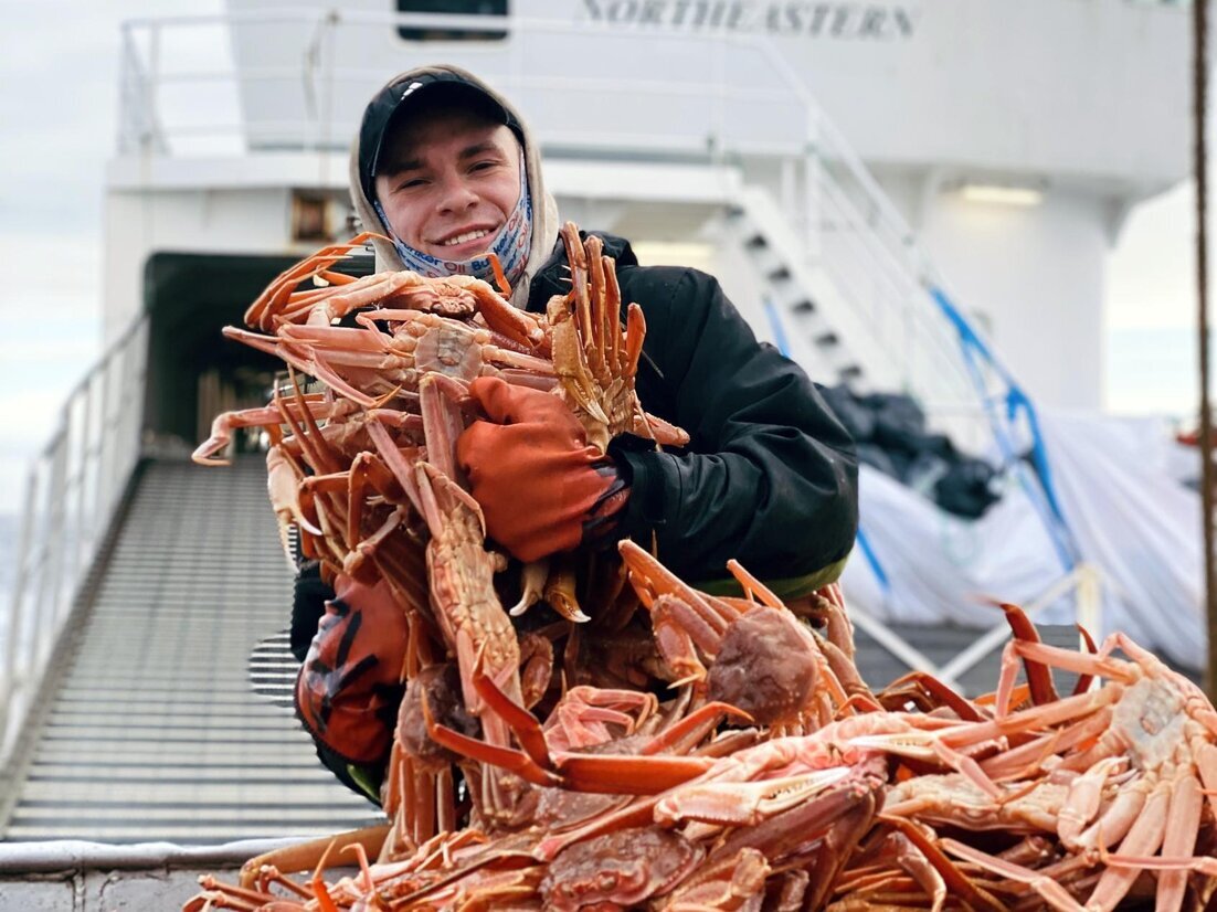 Seafood business: how it works from A to Z - Work, Krabolovy, Longpost, Business, Seafood, The photo