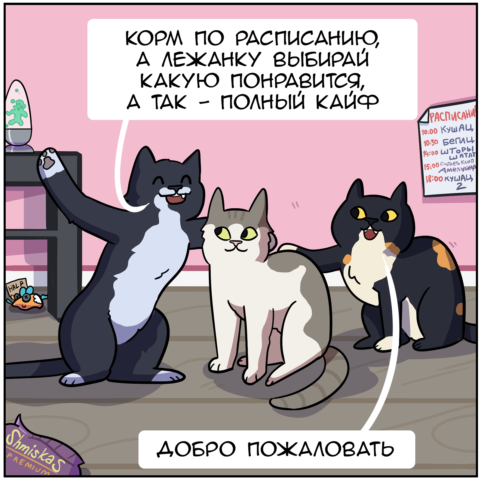 We have a new addition - My, Comics, Martadello, Humor, cat, Longpost