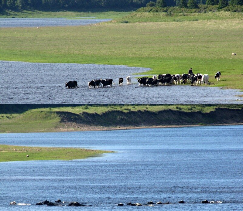 Varzuga - Travel across Russia, Varzuga, Tersky Bereg, Kola Peninsula, Tourism, Historical building, Longpost