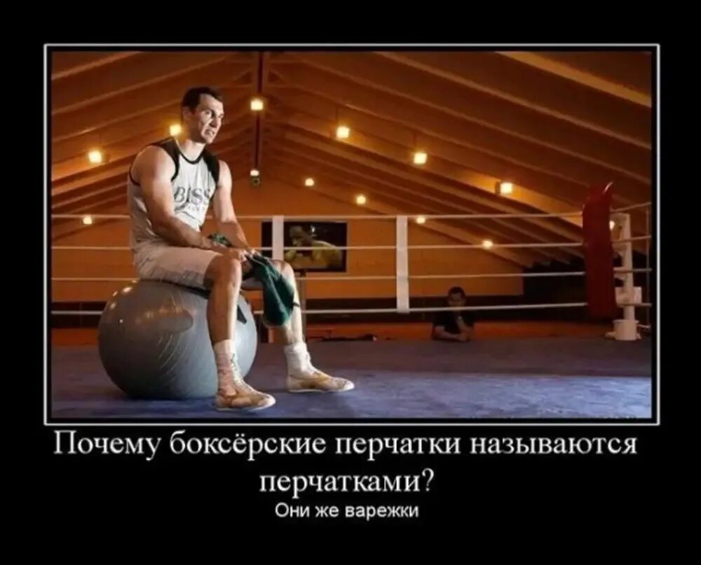 Boxing. Funny - Martial arts, Boxer, Sport, Boxing, Humor, Memes, Joke, Demotivator