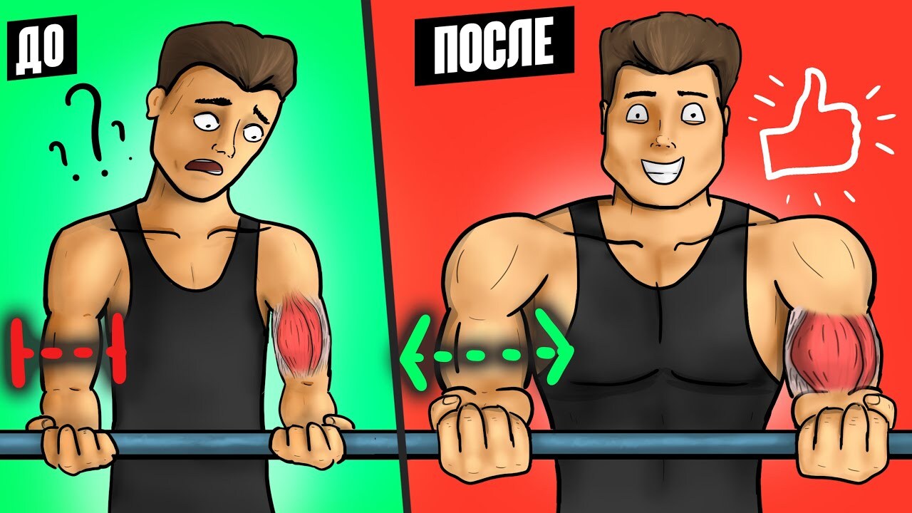 Tips for pumping up your biceps - My, Exercises, Workout, Healthy lifestyle, Health, Biceps, Sport, Sports Tips, Proper nutrition, Gym, Gym, Тренер, Advice