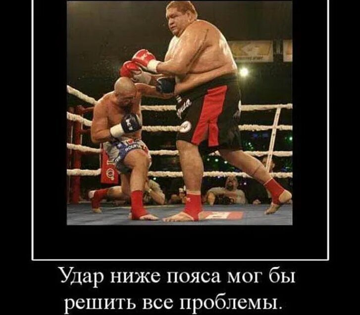 Boxing. Funny - Martial arts, Boxer, Sport, Boxing, Humor, Memes, Joke, Demotivator