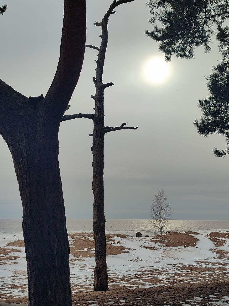 Coast near Komarovo - My, Beginning photographer, The photo, Nature