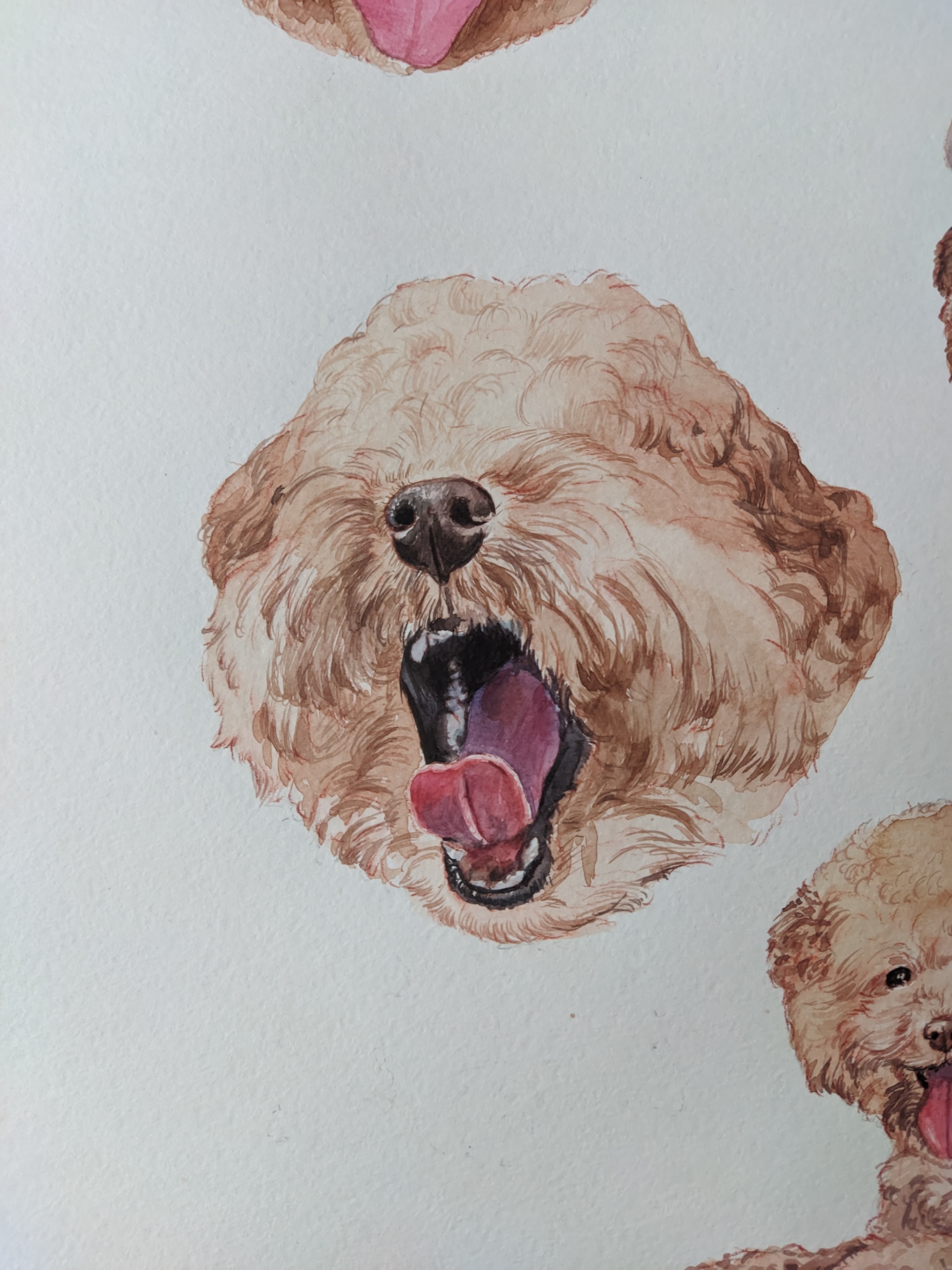 Watercolor poodles - My, Watercolor, Poodle, Toy Poodle, Artist, Longpost