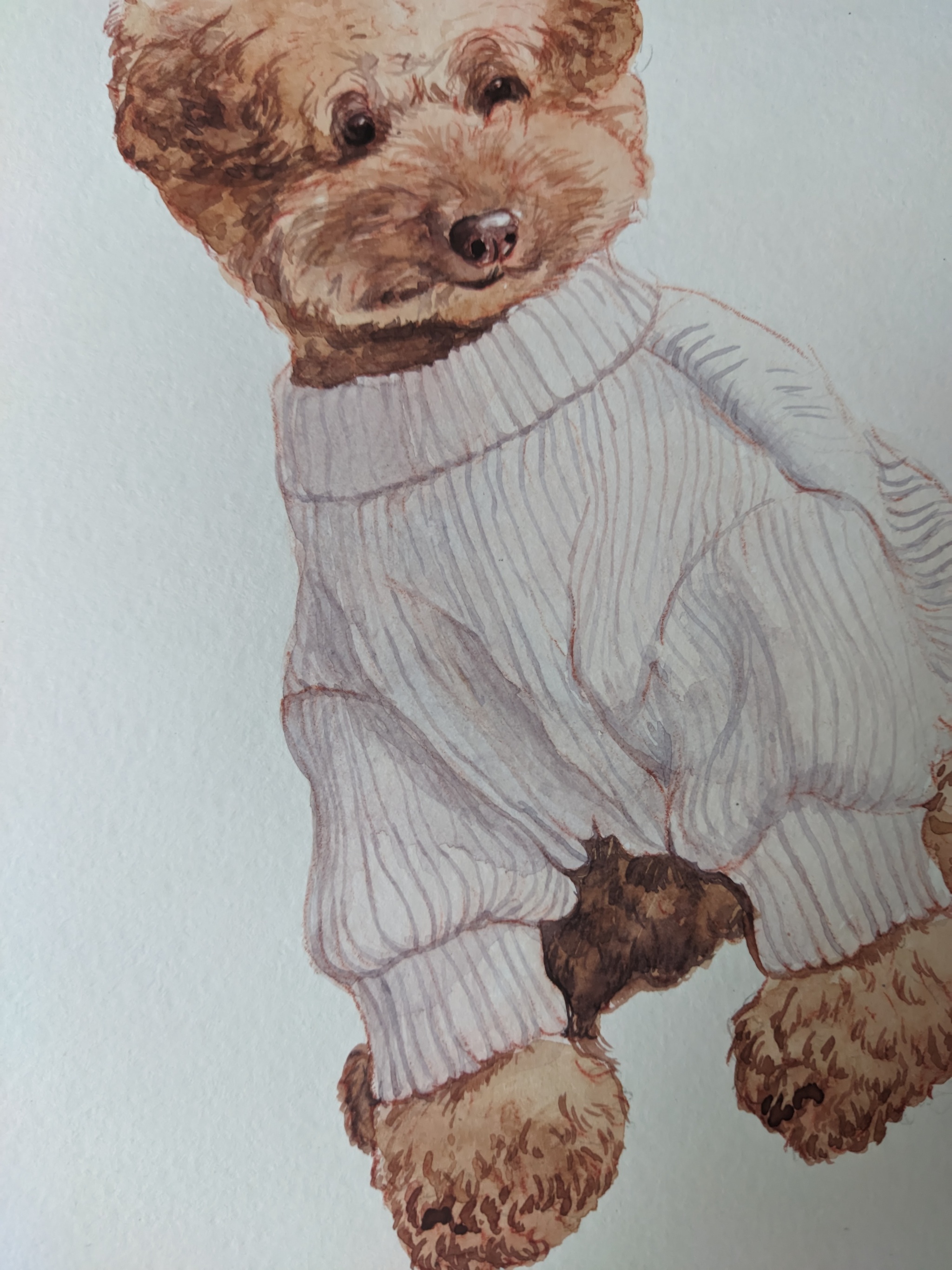 Watercolor poodles - My, Watercolor, Poodle, Toy Poodle, Artist, Longpost