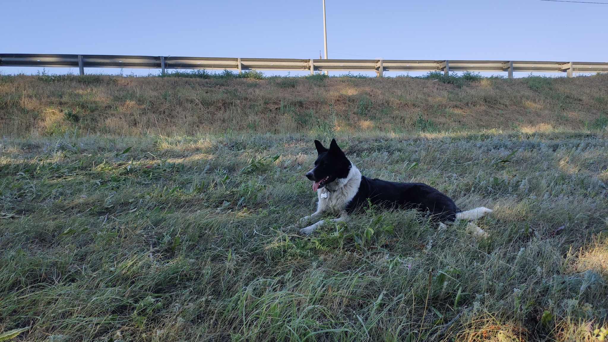 I'm walking 1000 km with my dog. 1 month. After Penza I’ll go without anything! Only a raincoat and homemade ancient tools - My, Travel across Russia, Travels, Tourism, Hiking, Longpost