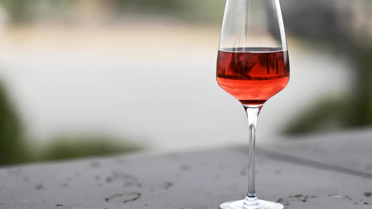 Georgia has become a leader in the supply of still and fortified wines to Russia - Politics, Georgia, Russia, Italy, Wine, Supplies, Import, Turnover, European Union