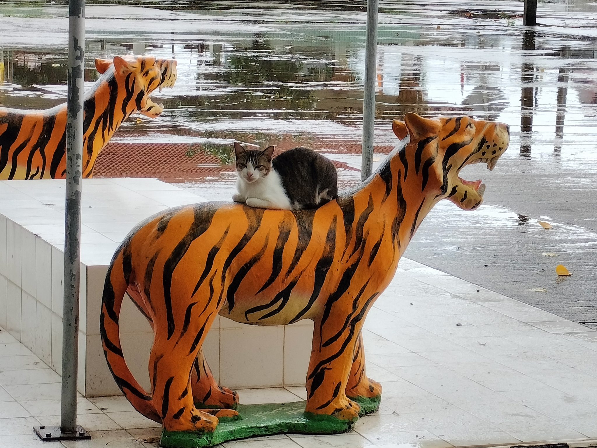 The best place for a cat - My, cat, Tiger, Sculpture, Thailand, The photo