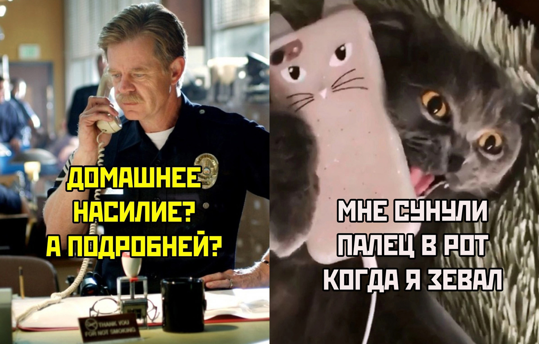 Memes about cats) - Humor, Memes, Images, Picture with text, Laughter (reaction), Bayan (musical instrument), Longpost