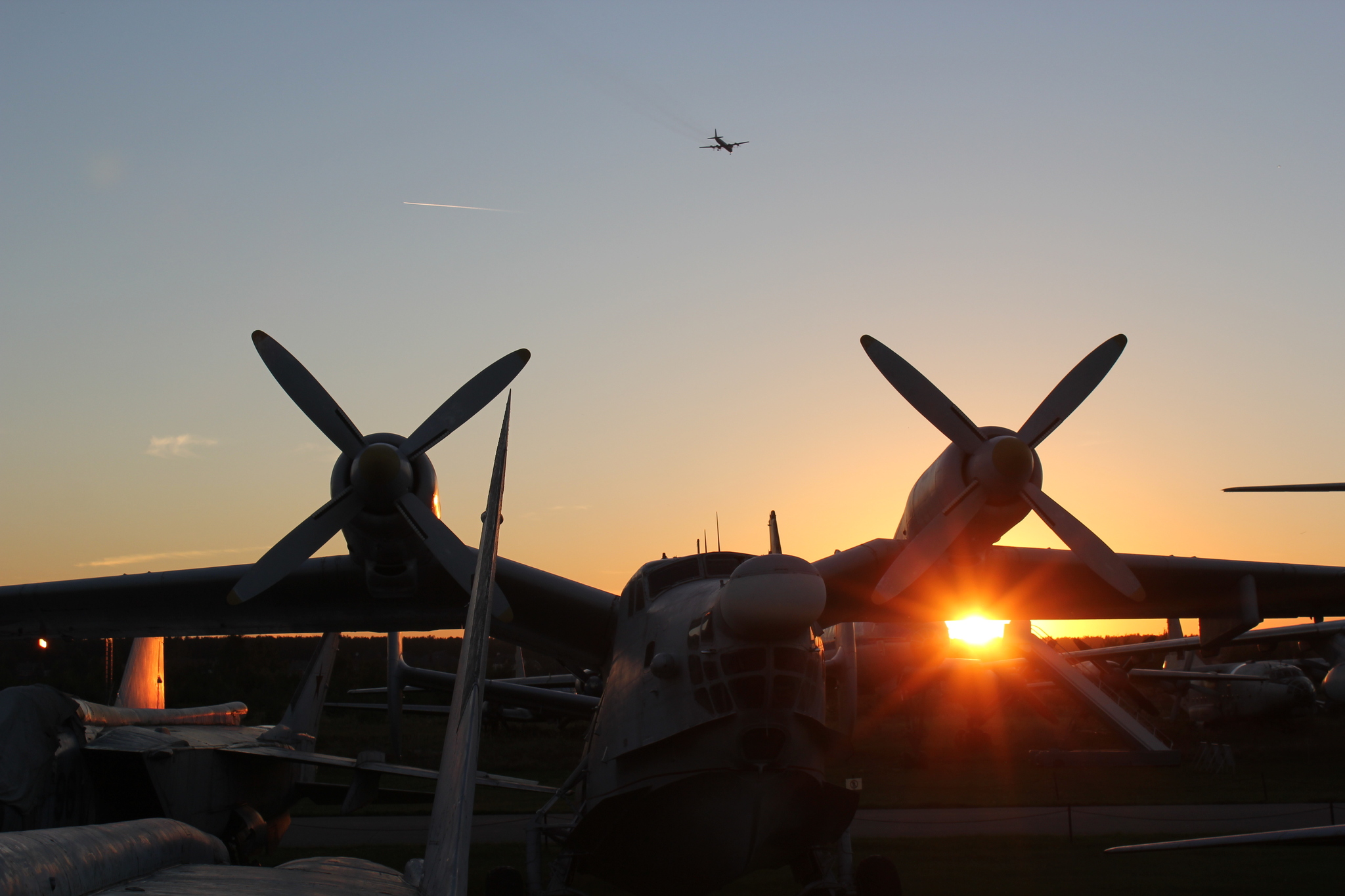 The sky smells like daisies!... - My, The photo, Airplane, Summer, Just, Longpost