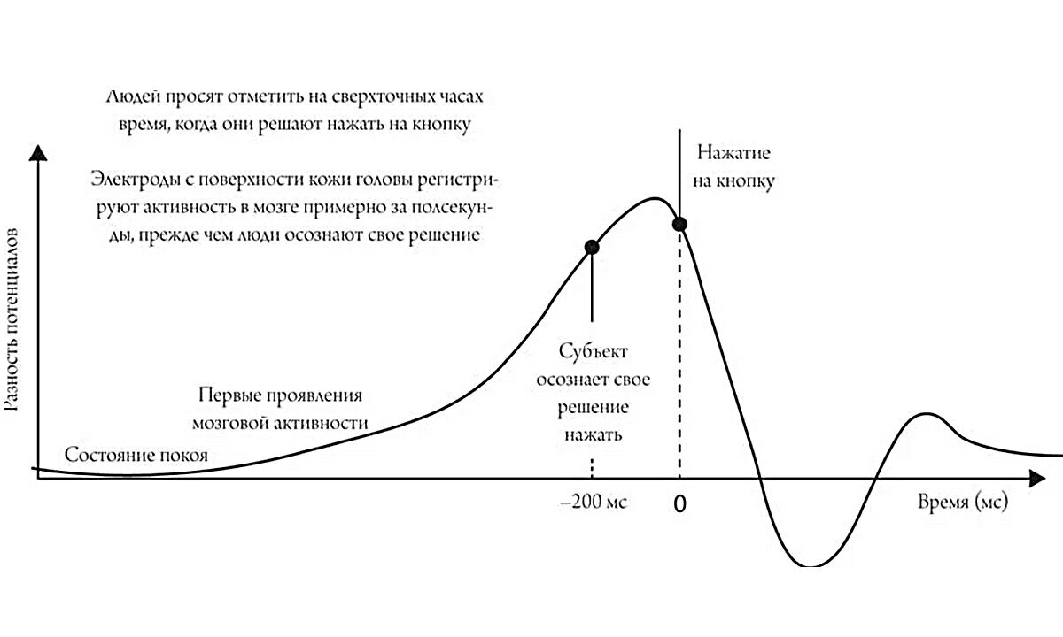 5 creepy scientific hypotheses - My, Physics, The science, Nauchpop, Horror, Horror, Astrophysics, Psychology, Longpost