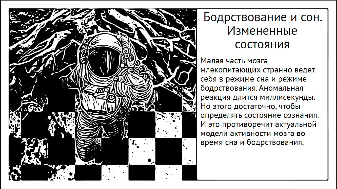 Part of the brain sleeps while we are awake and wakes up when we sleep - My, Brain, Research, The science, Experiment, Nauchpop, Dream, Wakefulness, Longpost