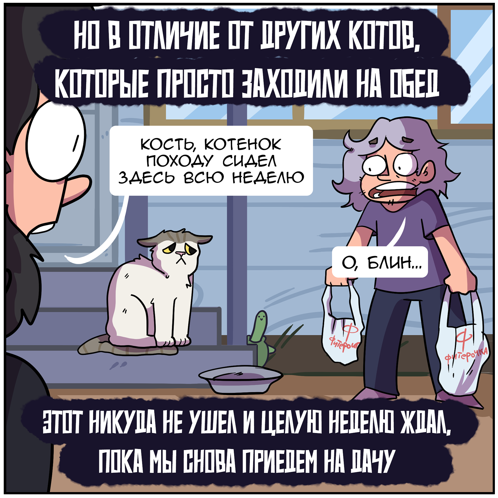 Getting to know Syrniki - My, Comics, Martadello, Humor, Syrniki, cat, Longpost