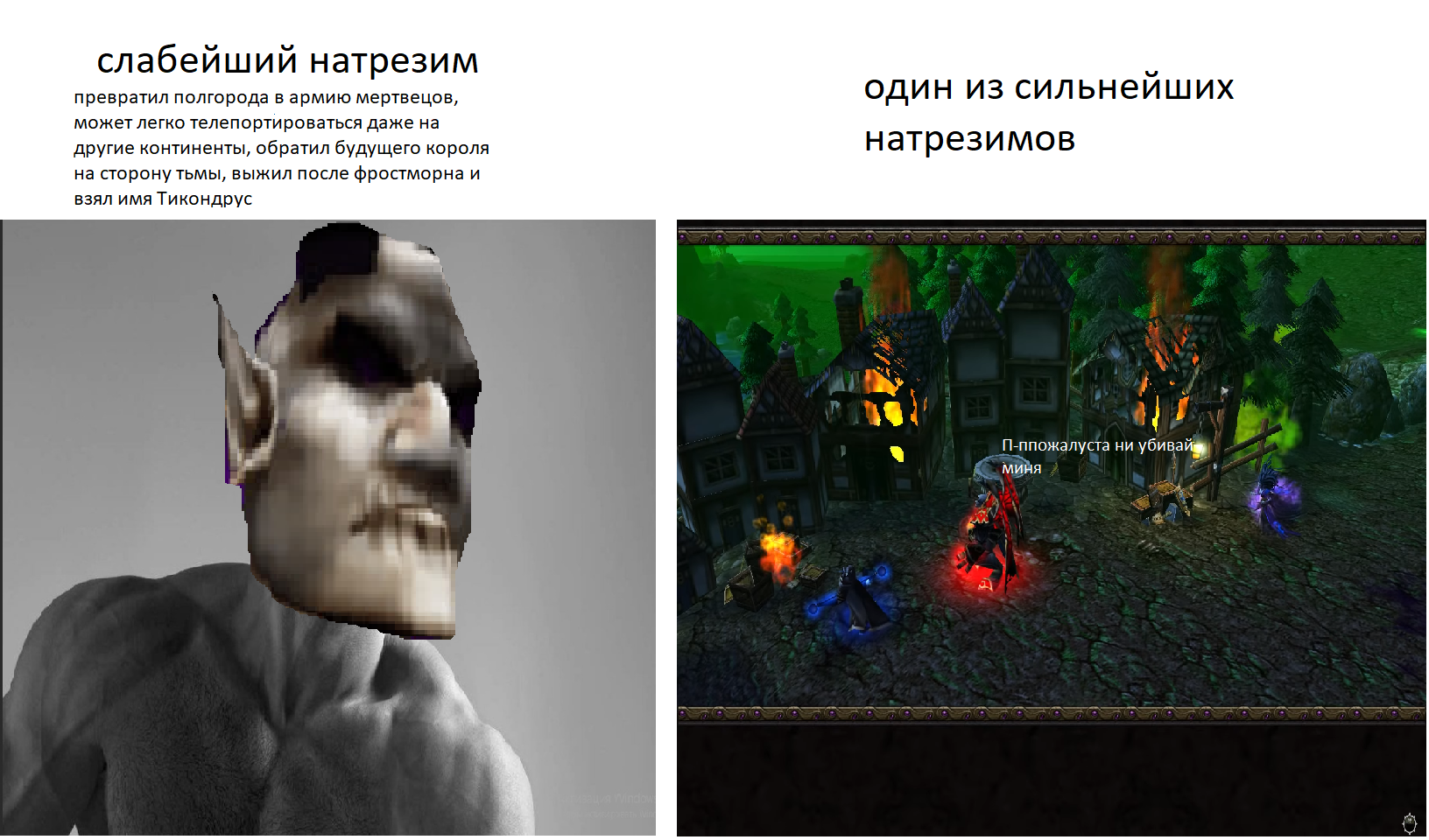 Eh, three-faced... - Warcraft 3, Natrezim, Contradictions, Humor, Picture with text