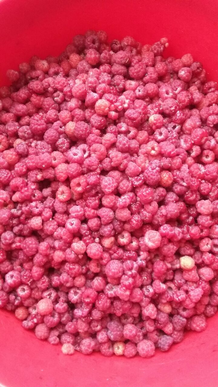 From childhood - My, Childhood, Village, Childhood memories, Memories, Raspberries, The photo