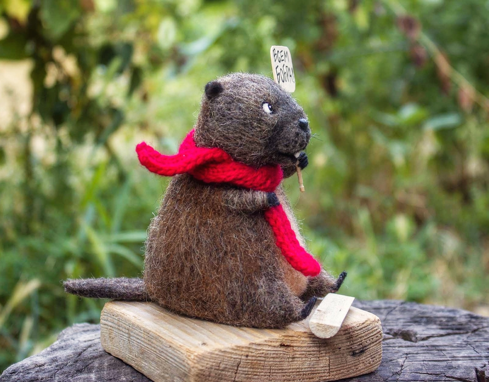 Good Beaver - My, Needlework without process, Beavers, Dry felting, Toys, Longpost