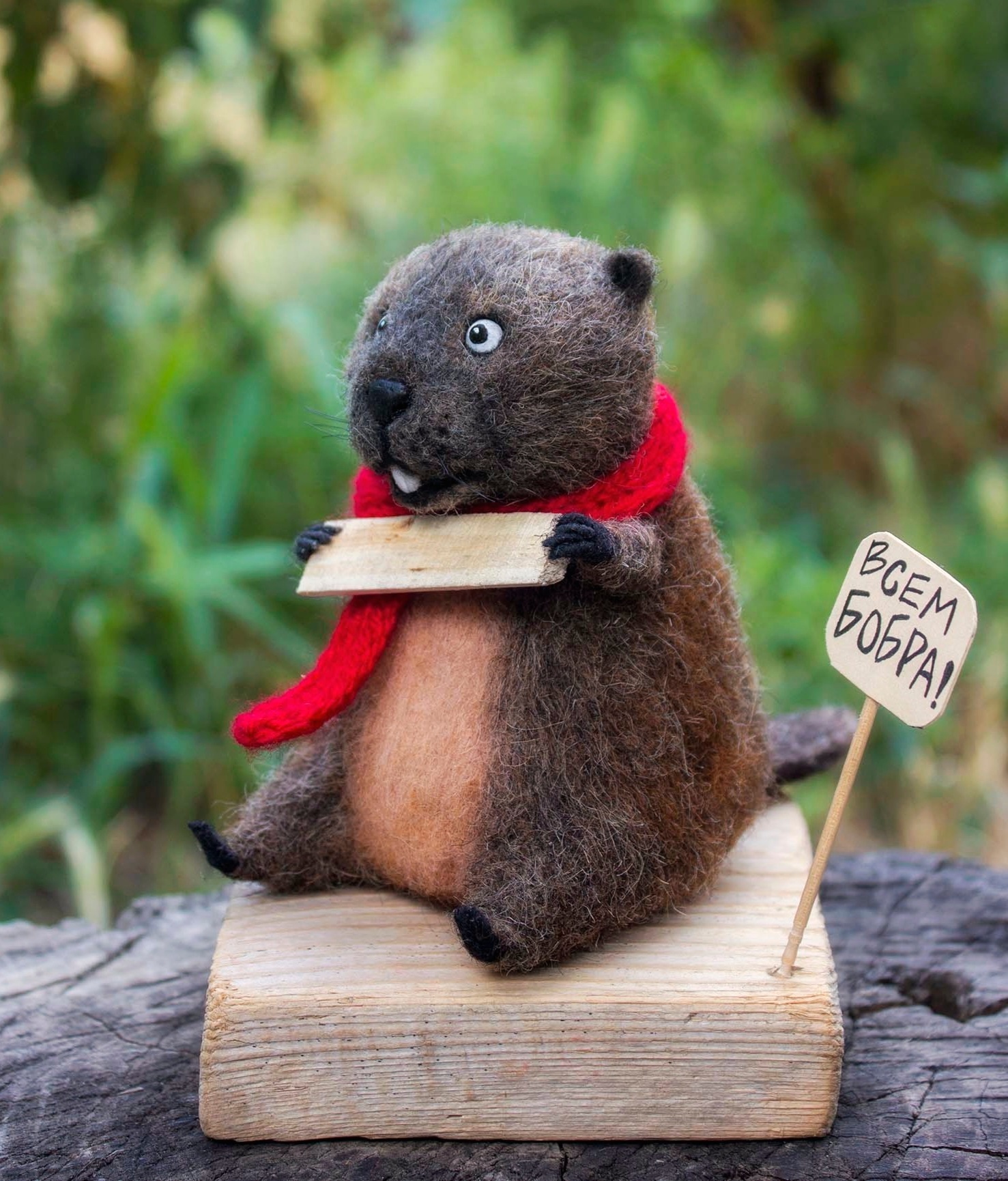 Good Beaver - My, Needlework without process, Beavers, Dry felting, Toys, Longpost