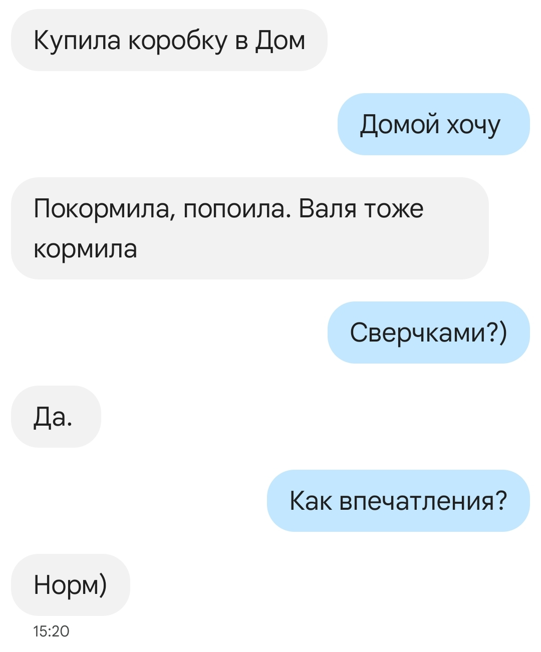 Уход за Альбертом. День первый - Моё, Стриж, Находка, Помощь, Доброта, Передержка, Забота, Видео, Вертикальное видео, Мат, Длиннопост