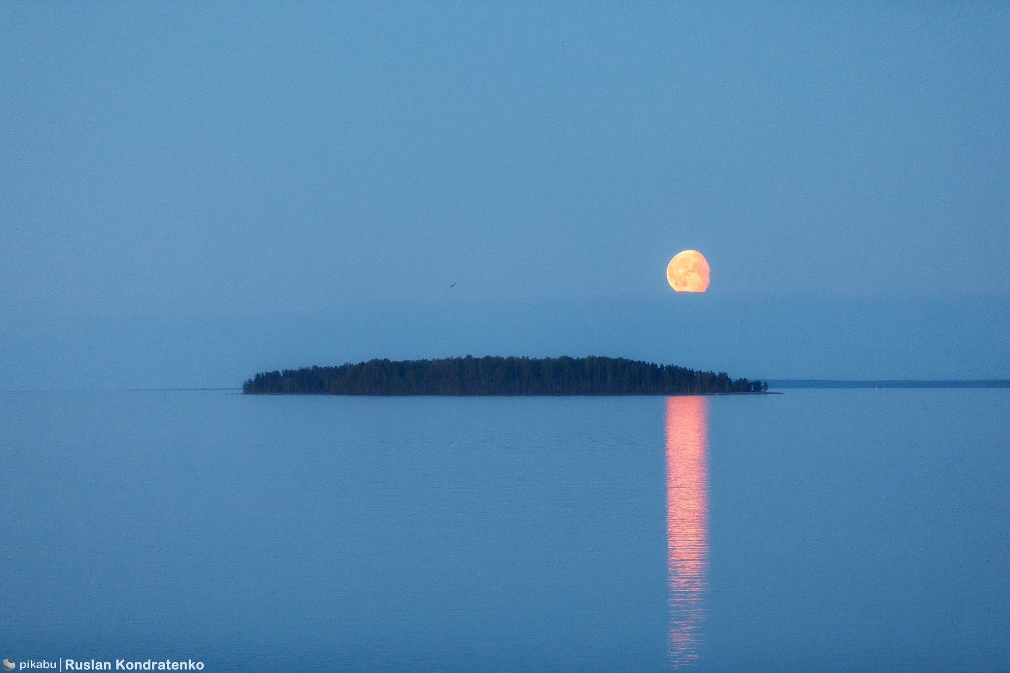 Ladoga skerries - My, The photo, Evening, Ladoga skerries, Ladoga lake, Landscape