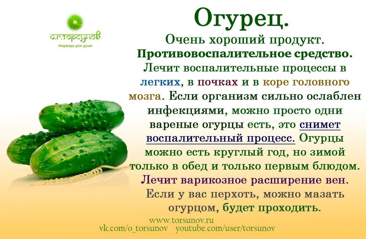 Лучшие и Худшие продукты для Энергетики - Здоровье, Еда, ЗОЖ, Яндекс Дзен (ссылка), Длиннопост