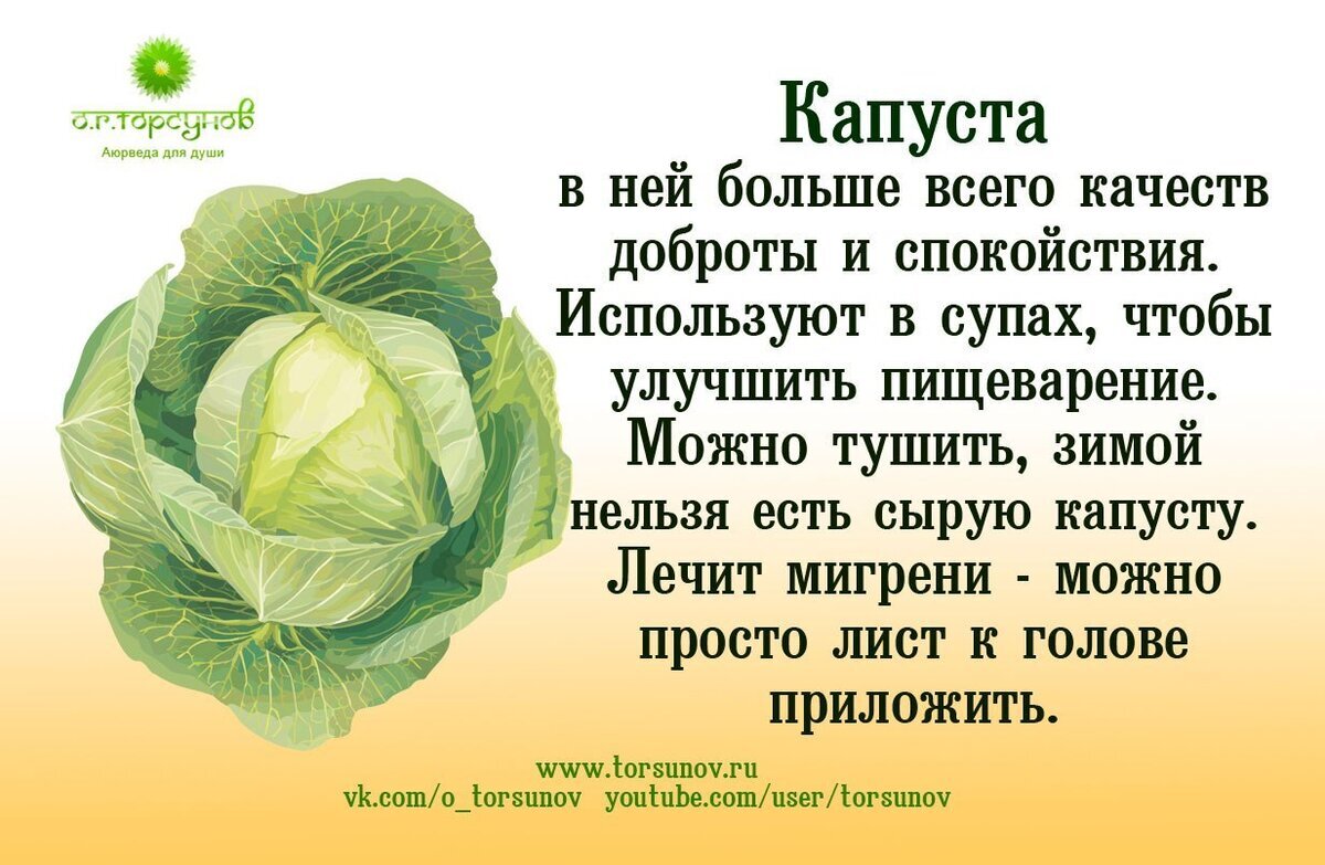 Лучшие и Худшие продукты для Энергетики - Здоровье, Еда, ЗОЖ, Яндекс Дзен (ссылка), Длиннопост