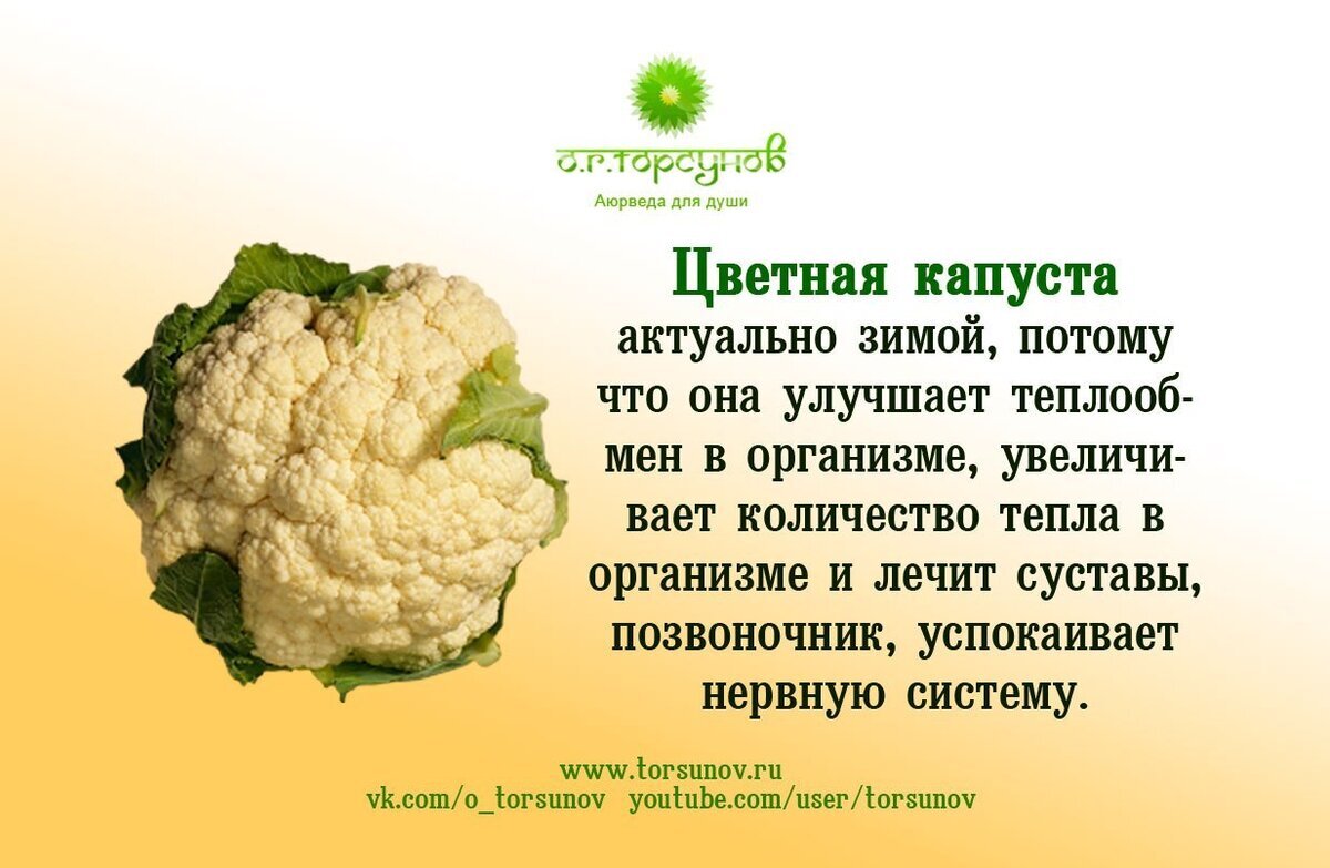 Лучшие и Худшие продукты для Энергетики - Здоровье, Еда, ЗОЖ, Яндекс Дзен (ссылка), Длиннопост