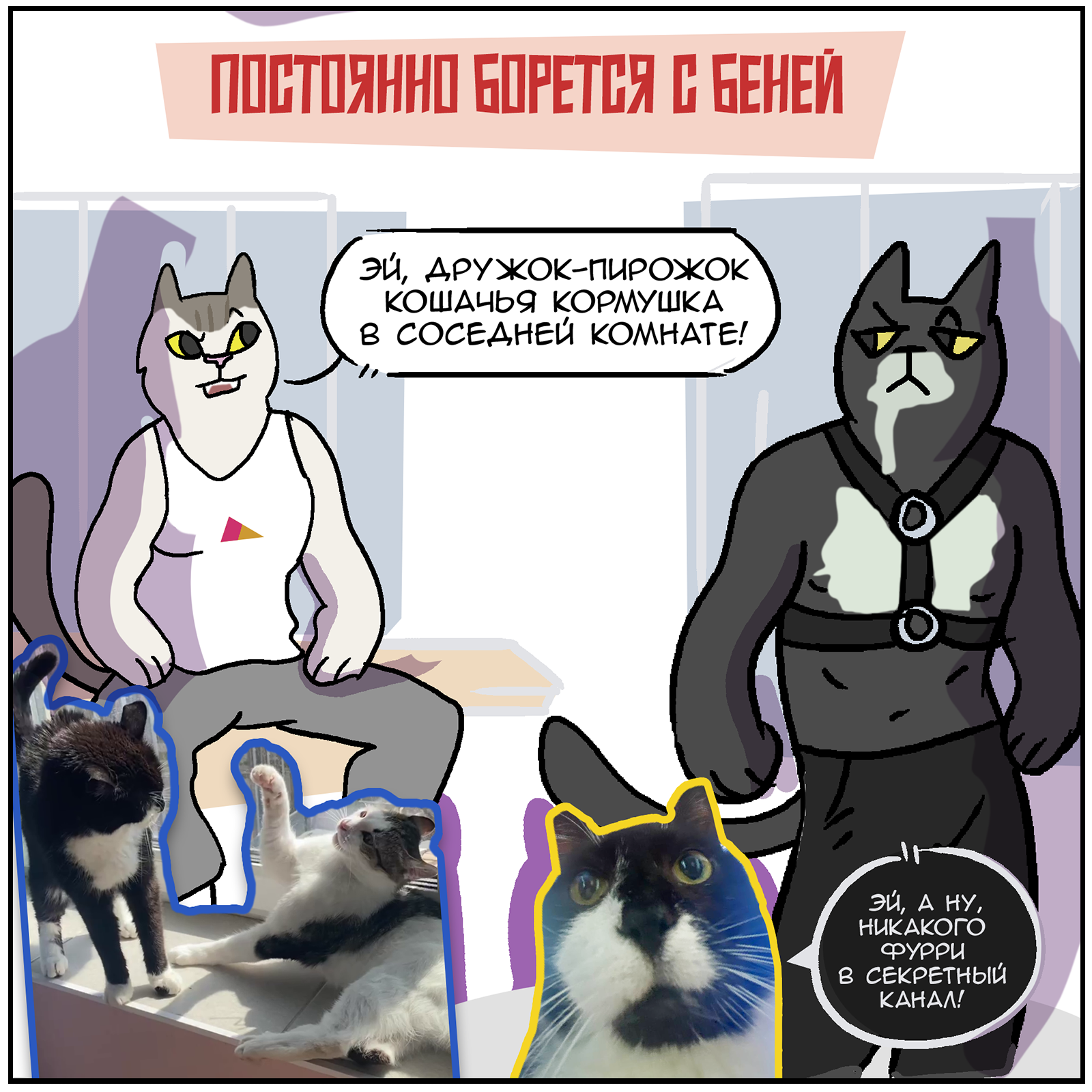 Chronicles of a cat's house - My, Comics, Martadello, Humor, cat, Longpost