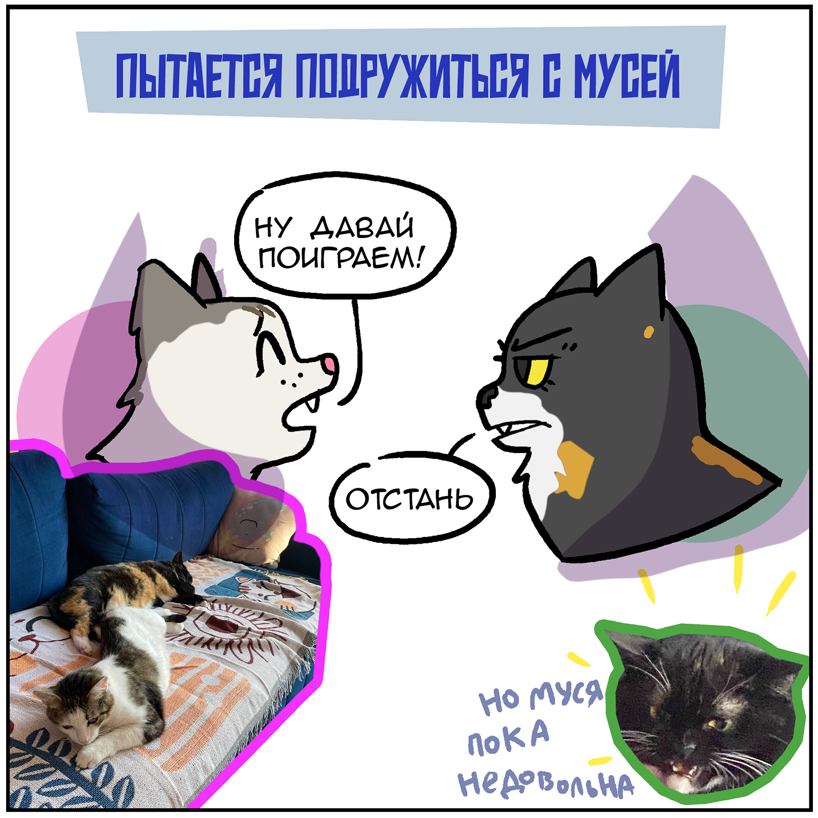 Chronicles of a cat's house - My, Comics, Martadello, Humor, cat, Longpost