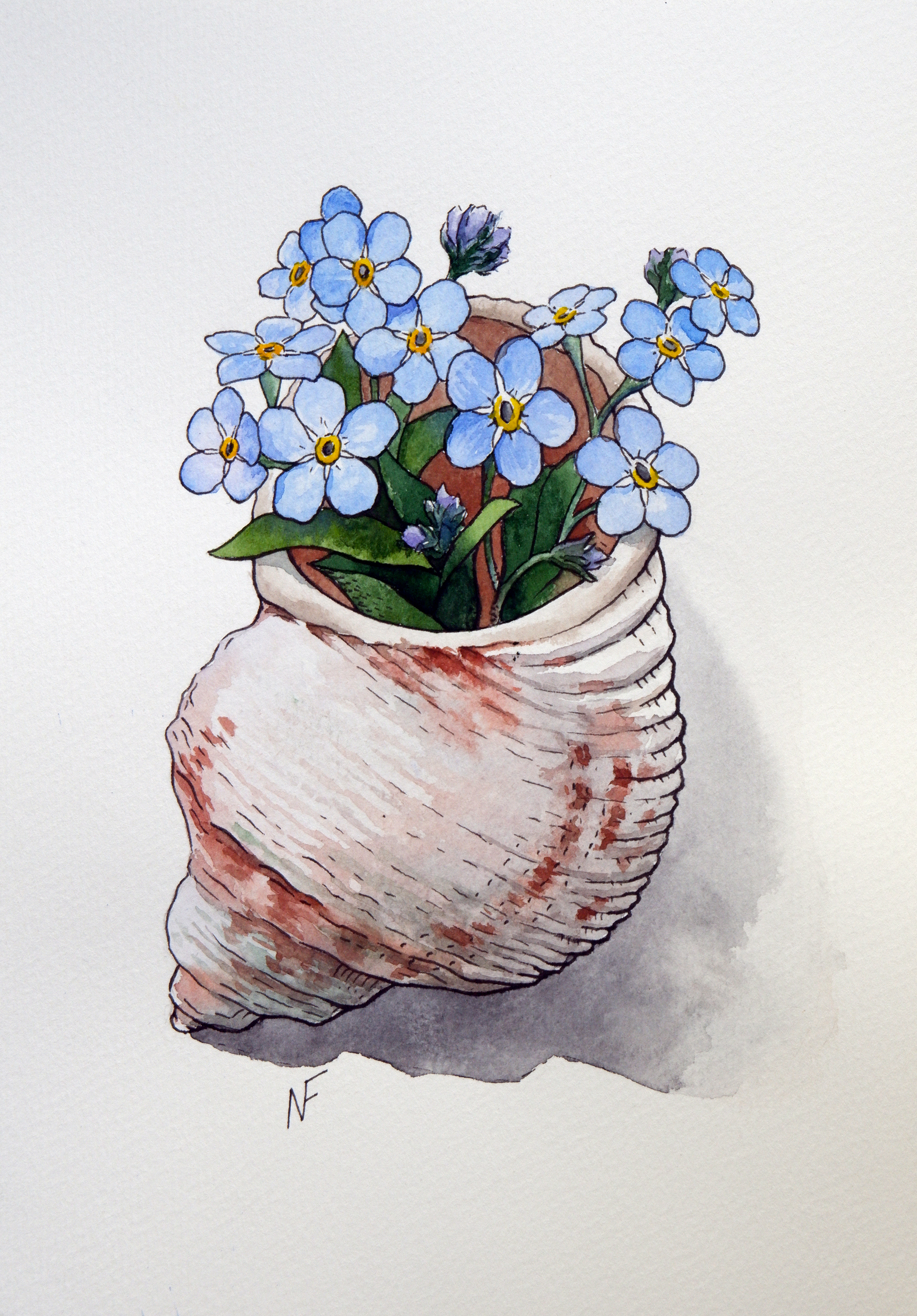 Forget-me-nots in the shell - My, Artist, Painting, Painting, Modern Art, Traditional art, Watercolor, Liner, Flowers, Forget-me-nots, Sink, Friday tag is mine