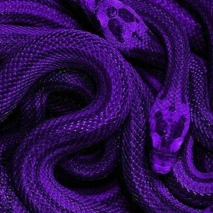 Favorite color - purple - Psychology, Psychological help, The senses, Person, Color, Paints, Purple, A life, People, Emotions, Self-esteem, Comfort, Leader, Love, Magic, Empathy, Fantasy, Personality, Intuition, Психолог, Longpost