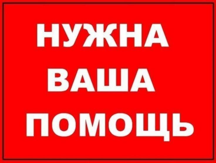 КАК ОРИГИНАЛЬНО ПОЗДРАВИТЬ МУЖИКОВ С ДОБРЫМ УТРОМ?!! (КОРОТКО)Можно использовать чёрный юмор - Утро, Доброе утро, День, Помощь, Помогите найти, Картинки, Черный юмор, Юмор