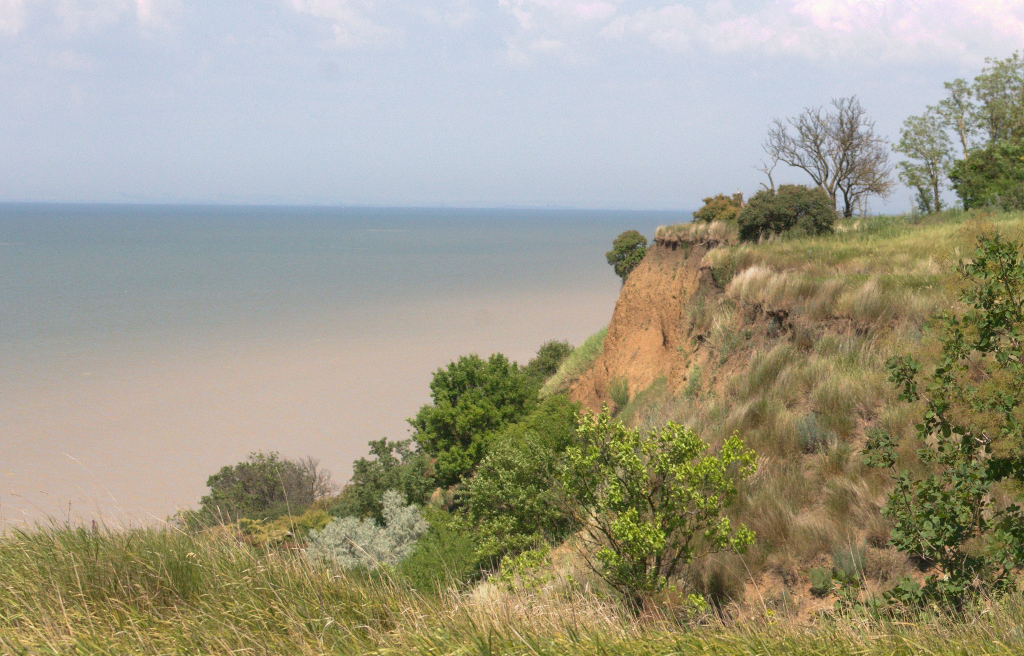 Taganrog Bay. We went on a picnic - My, Travels, Canon, The photo, Azov sea, Rostov region, Longpost