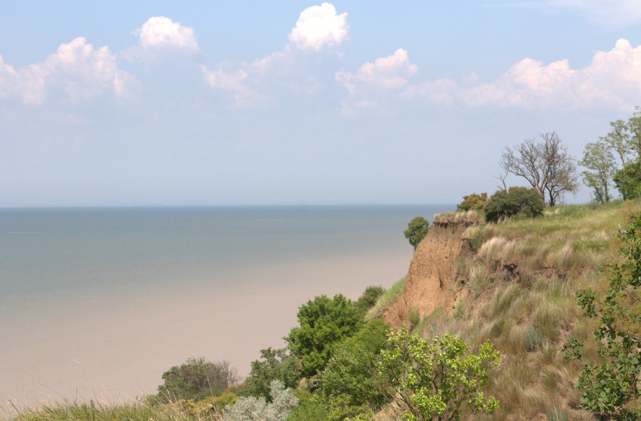 Taganrog Bay. We went on a picnic - My, Travels, Canon, The photo, Azov sea, Rostov region, Longpost