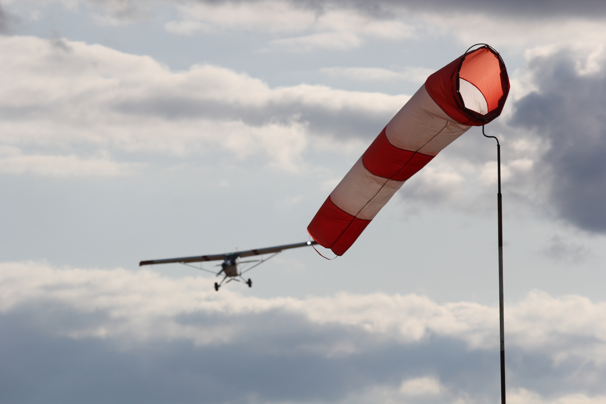 The sky smells like daisies!... - My, The photo, Summer, Airplane, Just, Longpost