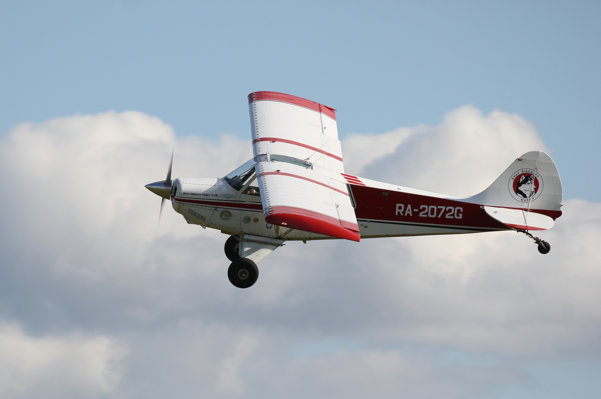 The sky smells like daisies!... - My, The photo, Summer, Airplane, Just, Longpost