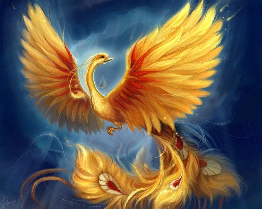 Phoenix - My, Men and women, Relationship, Parting, Love, Author's story, Pain, The senses, Loneliness, Text