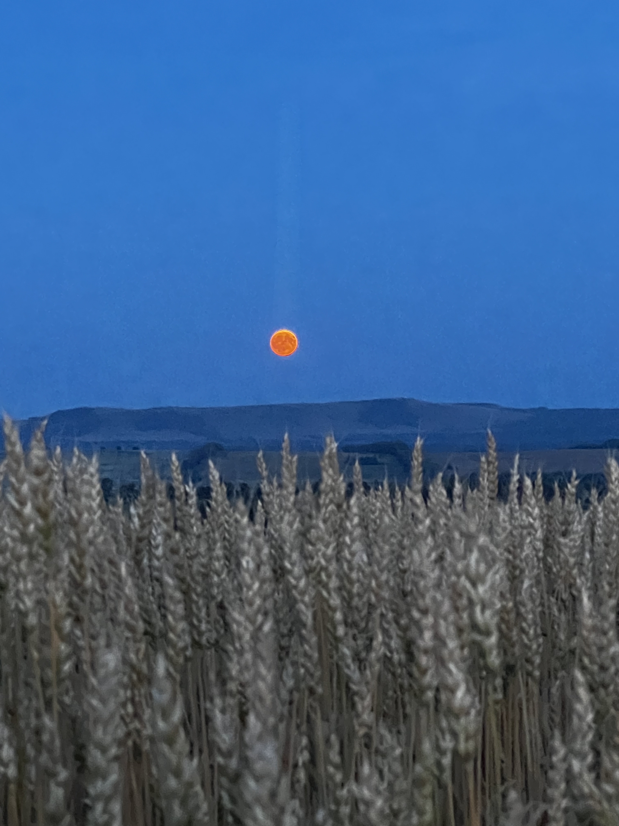 Blood Moon 07/20/2024 - My, moon, Nature, Travels, Field, Russia, Land