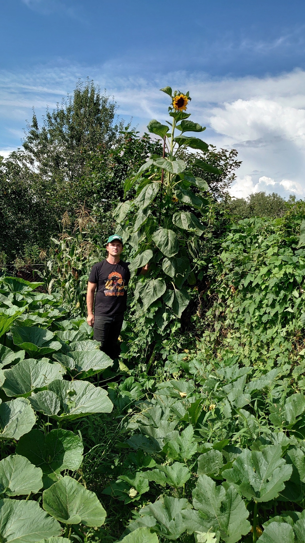 Growing Giant Vegetables 2024. Part 8 - My, Plants, Garden, Gardening, Garden, Big size, Longpost