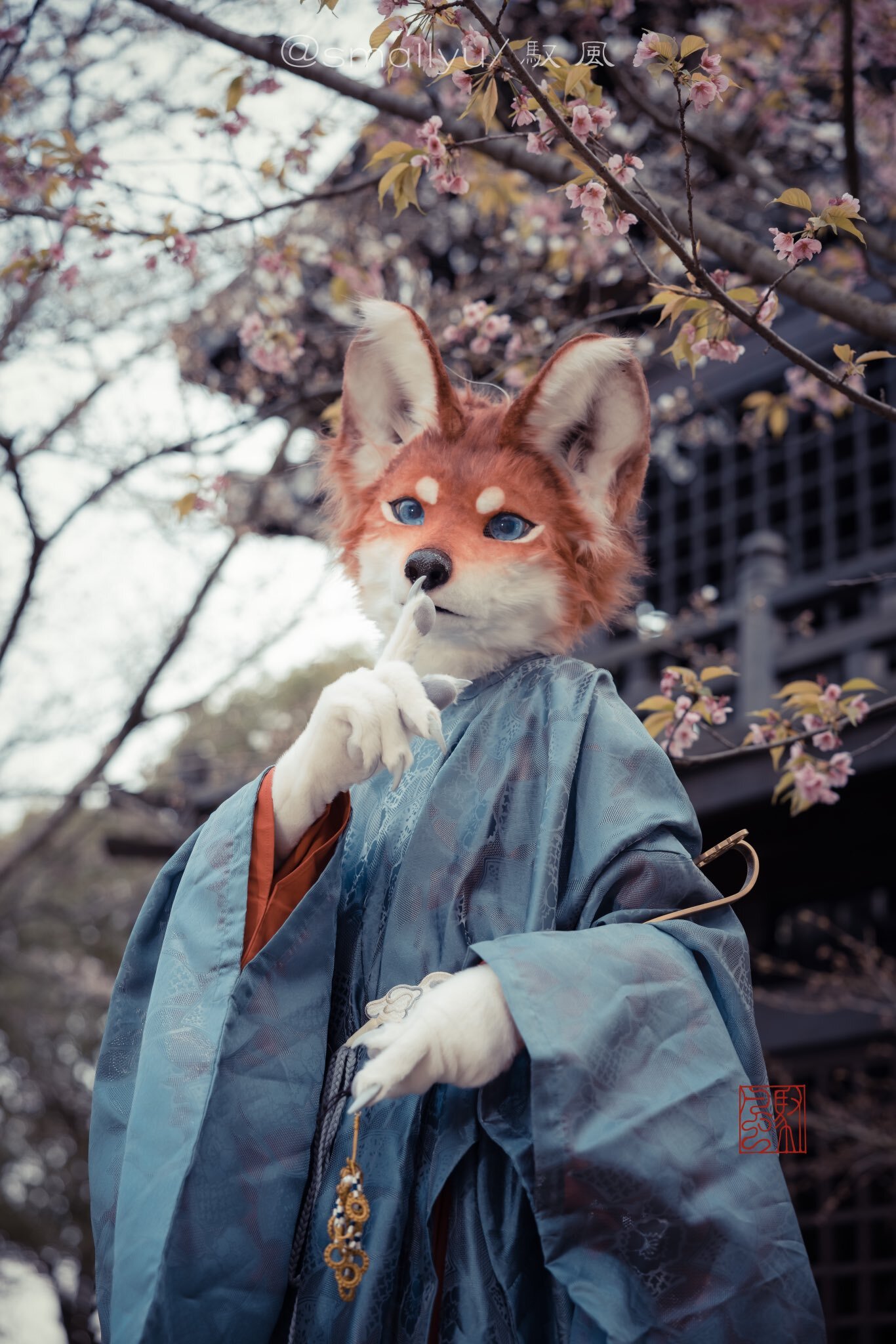 Fox - Furry, Fursjoot, Furry fox, Furry canine, The photo, Longpost