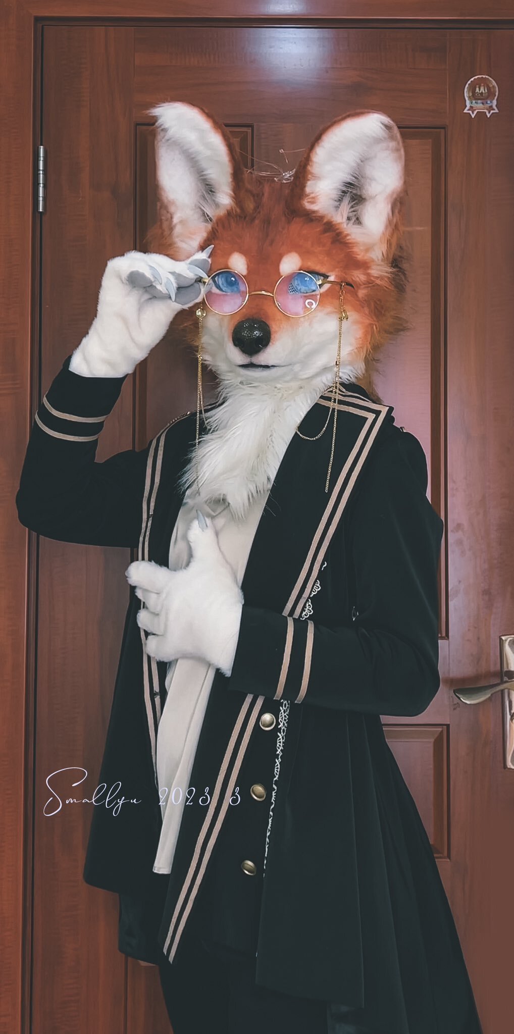 Fox - Furry, Fursjoot, Furry fox, Furry canine, The photo, Longpost