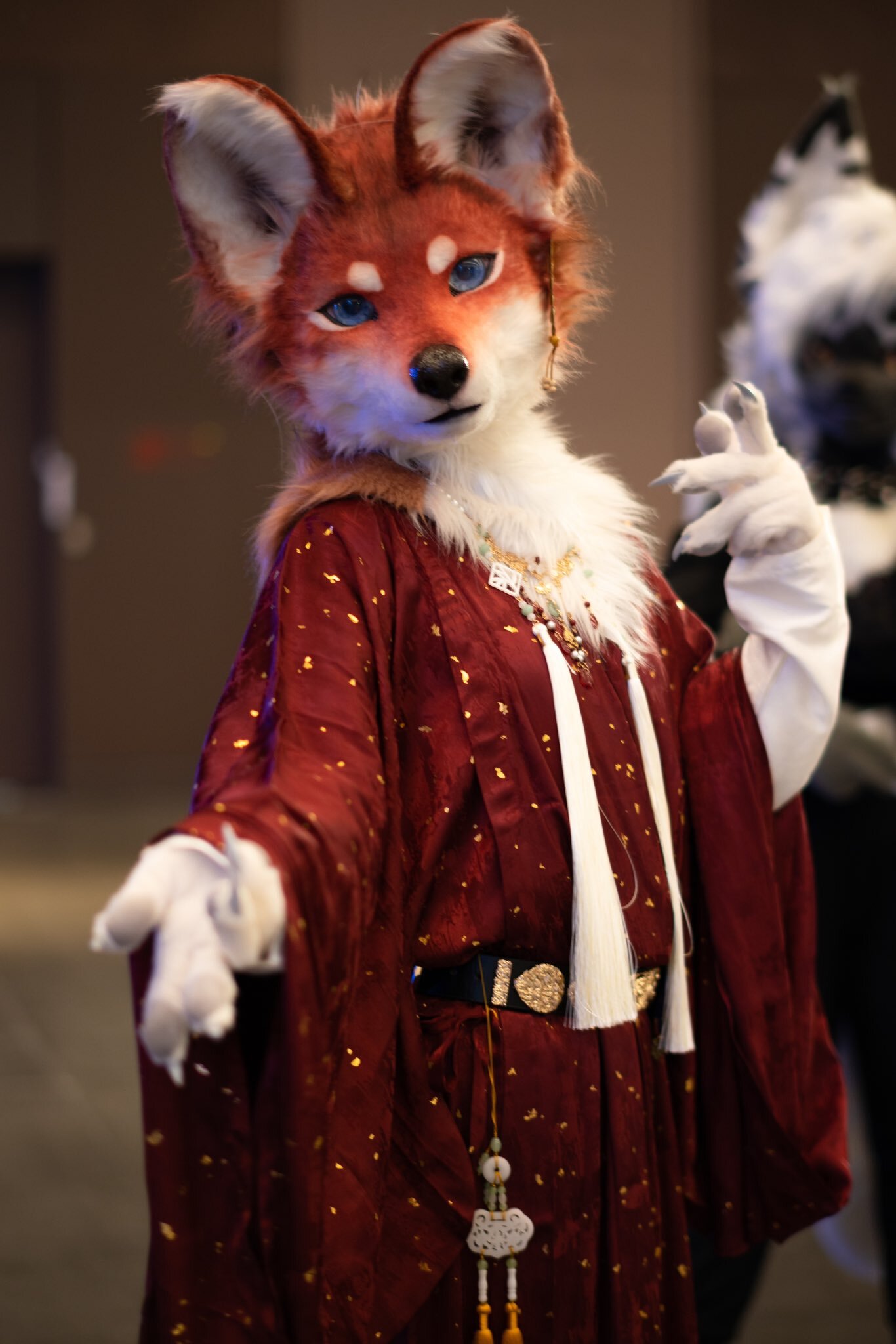 Fox - Furry, Fursjoot, Furry fox, Furry canine, The photo, Longpost