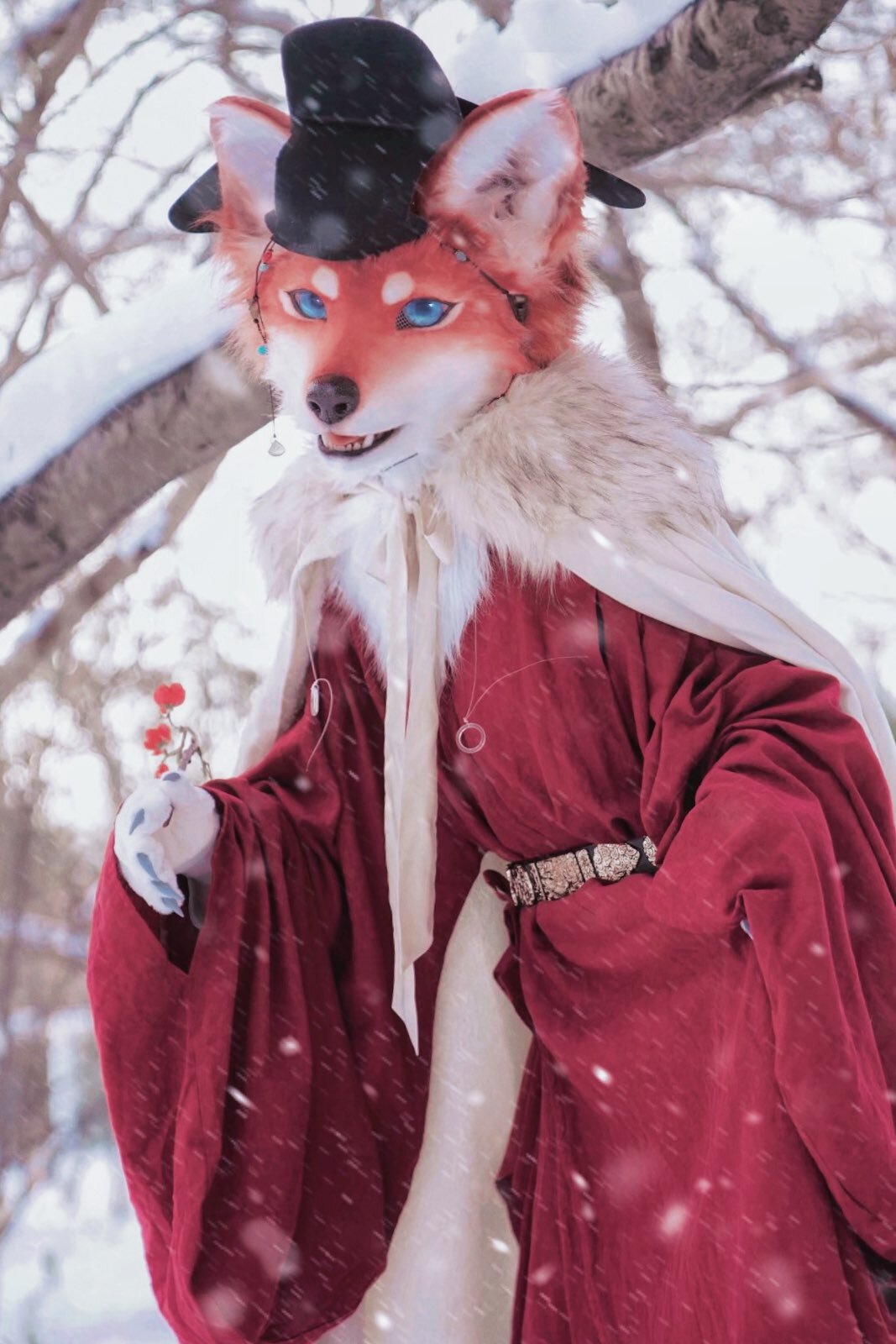 Fox - Furry, Fursjoot, Furry fox, Furry canine, The photo, Longpost