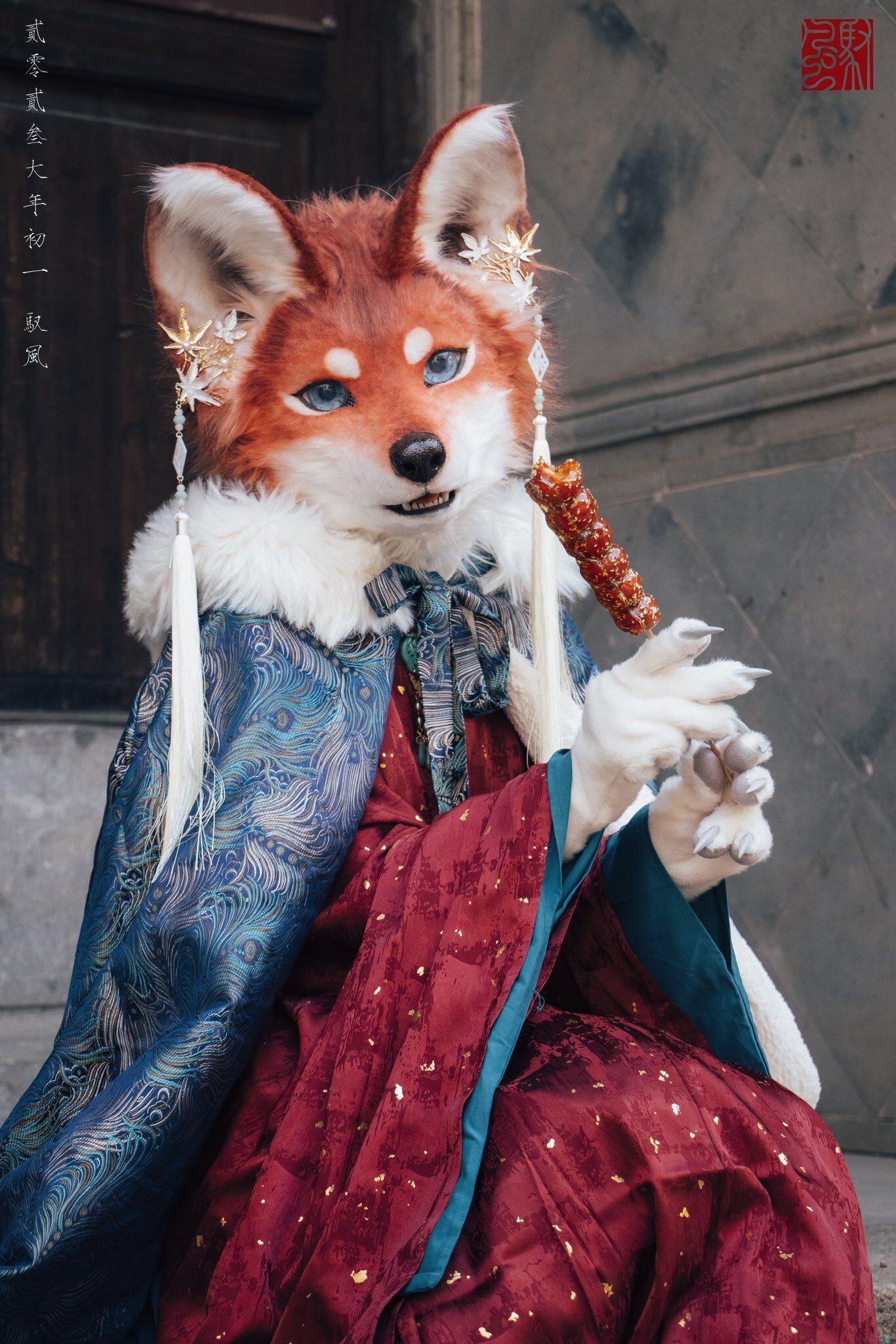 Fox - Furry, Fursjoot, Furry fox, Furry canine, The photo, Longpost