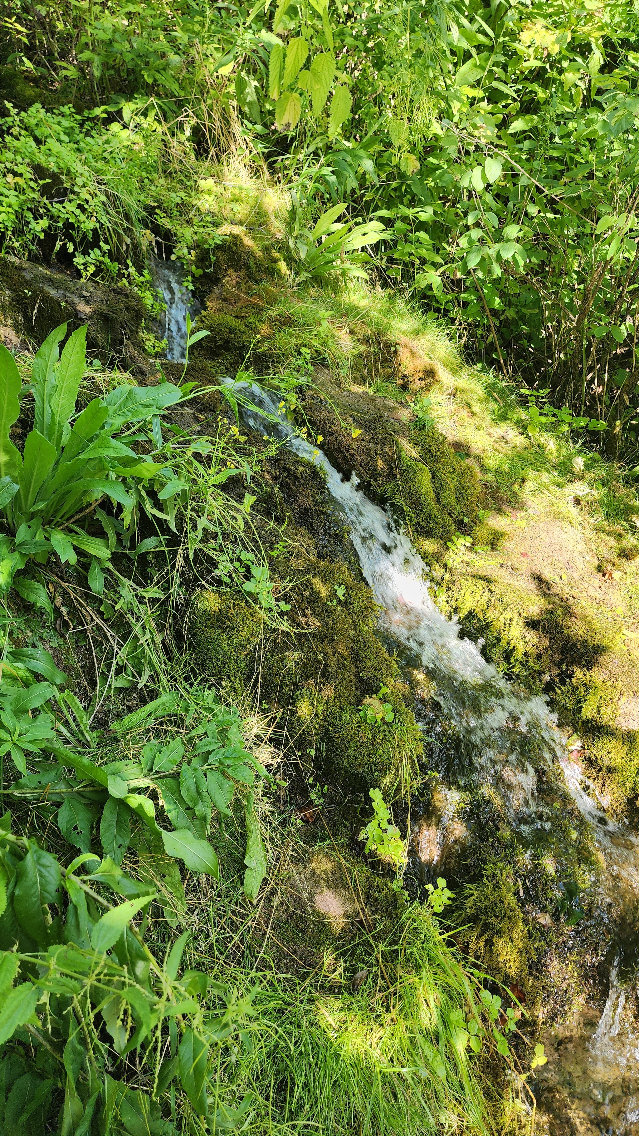 Three steps from home - Water - My, Moto, 3stephouse, sights, Water, Waterfall, Betonka, Ruza, Mozhaisk, Longpost