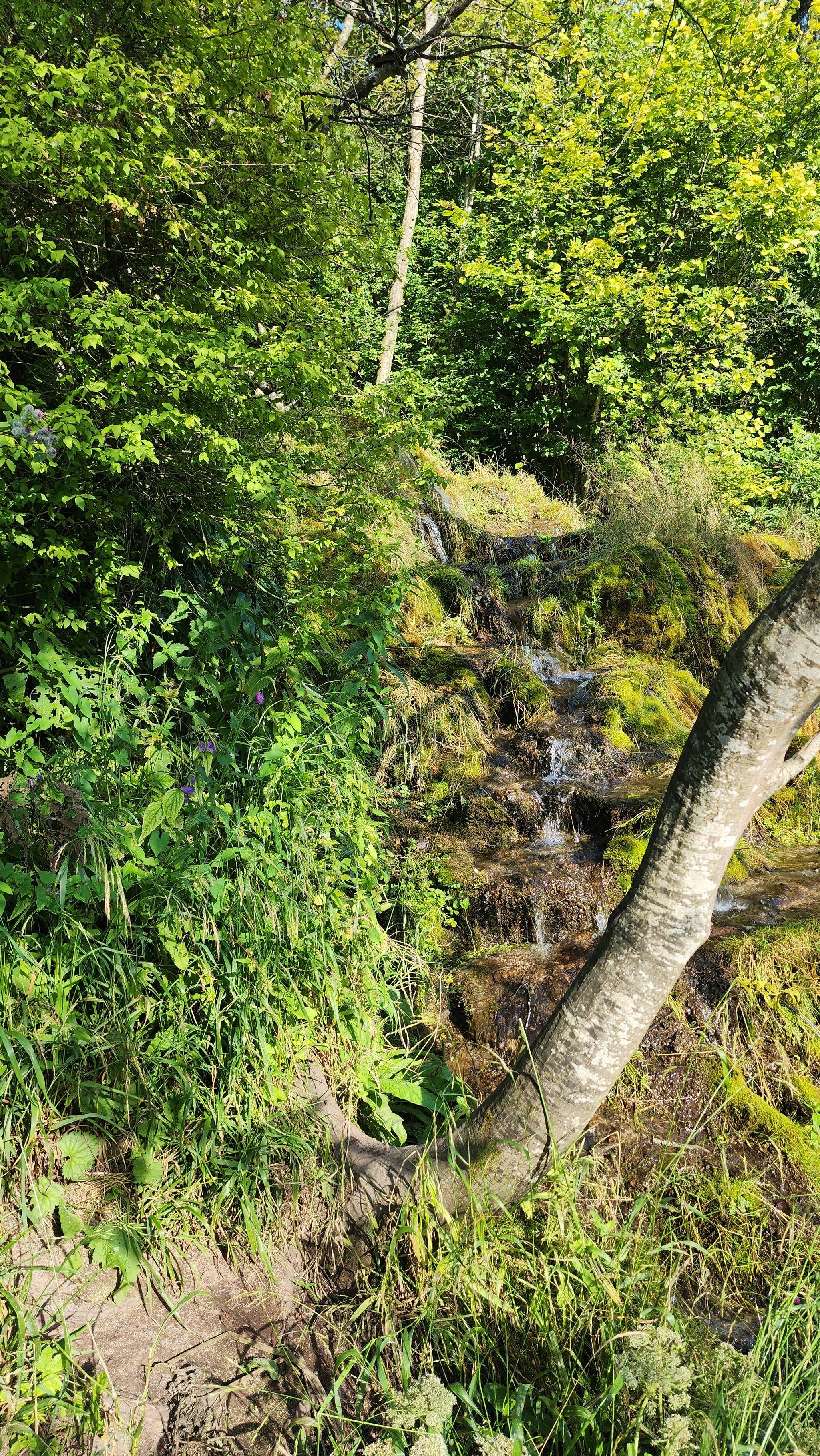 Three steps from home - Water - My, Moto, 3stephouse, sights, Water, Waterfall, Betonka, Ruza, Mozhaisk, Longpost